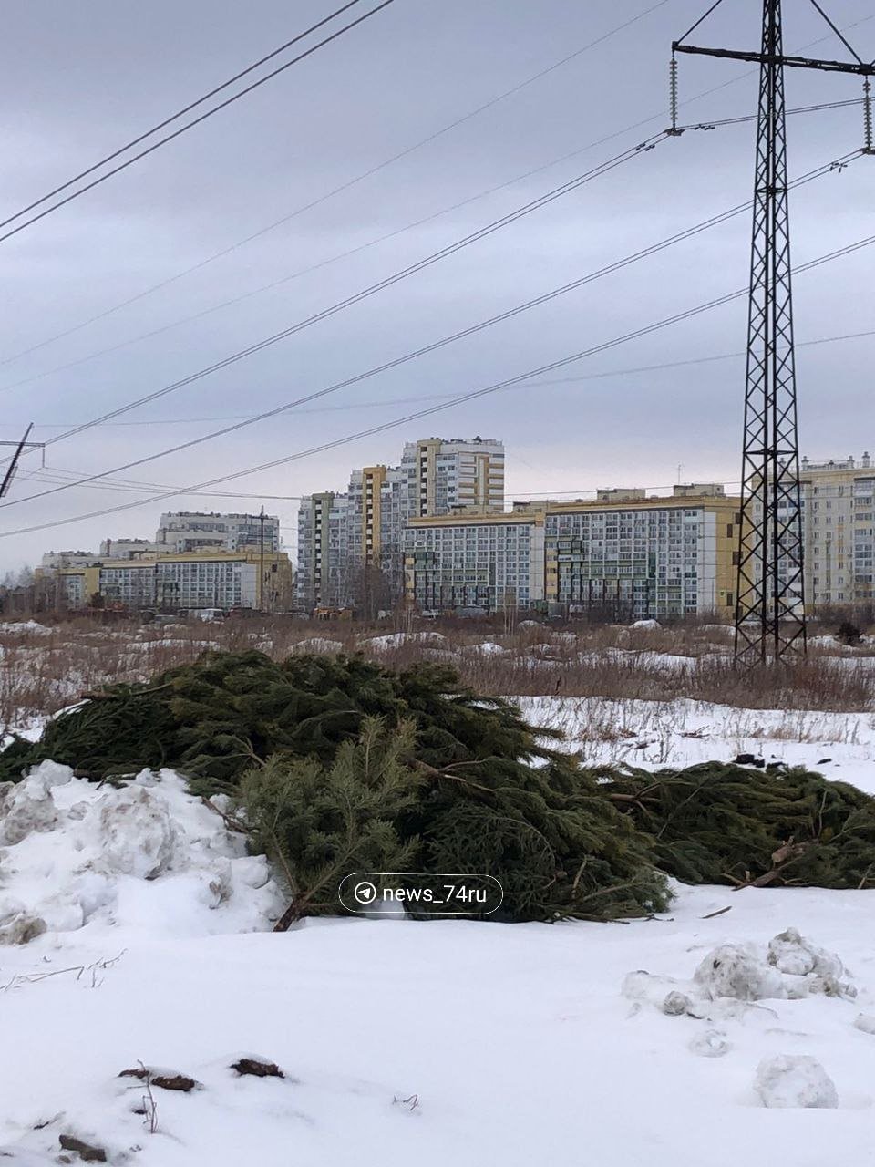 На пустырях Челябинска начали появляться горы нераспроданных живых елей. С некоторых даже упаковку не снимали.  Сегодня, например, импровизированные свалки заметили на поле перед поворотом на Преображенское кладбище и на окраине микрорайона Парковый-2.  «Это как понимать? Продавцы утилизировали нераспроданные деревья? Очень жаль елочки», — поделилась читательница   Евгения.  «Горы нераспроданных елок и сосен перекочевали с перекрестков города на поле. Не в зоопарк или на переработку, а просто выброшены кучей», — написала еще одна читательница Татьяна.