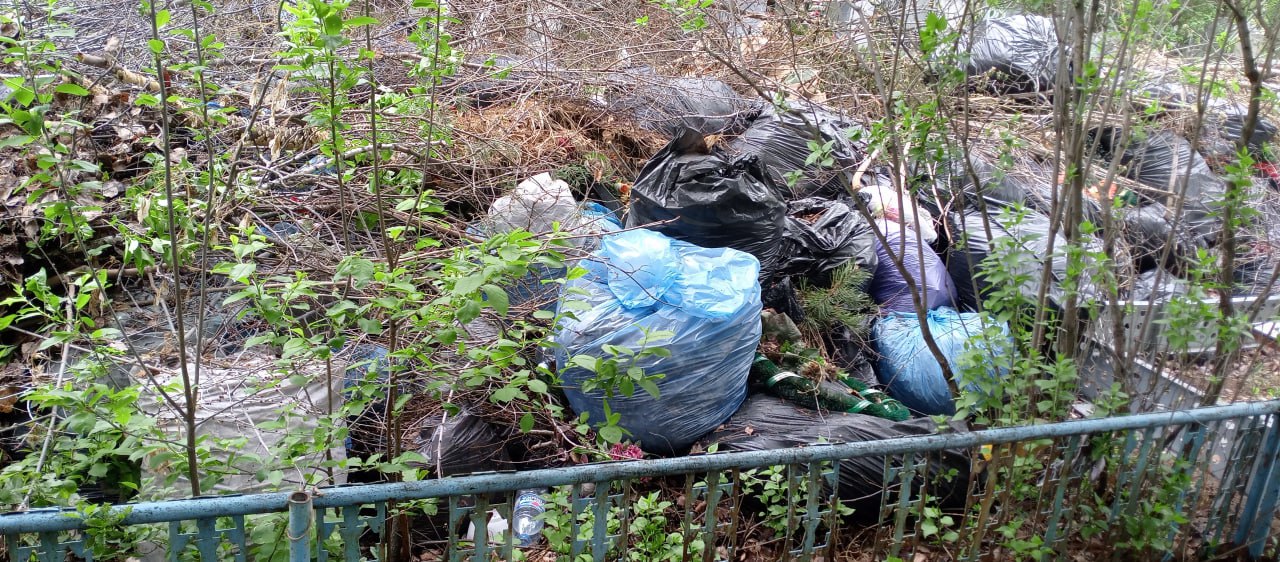 Омичка Татьяна Давыдович в паблике «Омск ВК» пожаловалась на горы мусора, которые скопились на Ново-Южном кладбище, расположенном вдоль Черлакского тракта. Мешки с отходами лежат прямо среди могил. Кроме того, горы мусора не позволяют пройти среди захоронений. В мэрии отреагировали на жалобу жительницы. В городской администрации разъяснили, кто должен вывозить отходы с погостов. «Вывоз мусора с муниципальных кладбищ осуществляется региональным оператором «Магнит». Специалисты "Комбината специальных услуг" регулярно подают в «Магнит» соответствующие заявки на вывоз мусора, сотрудники кладбищ выносят мусор вручную из труднодоступных для проезда специализированной техники мест», — уточнили в мэрии. В администрации пообещали очистить все погосты от отходов до последнего мешка.