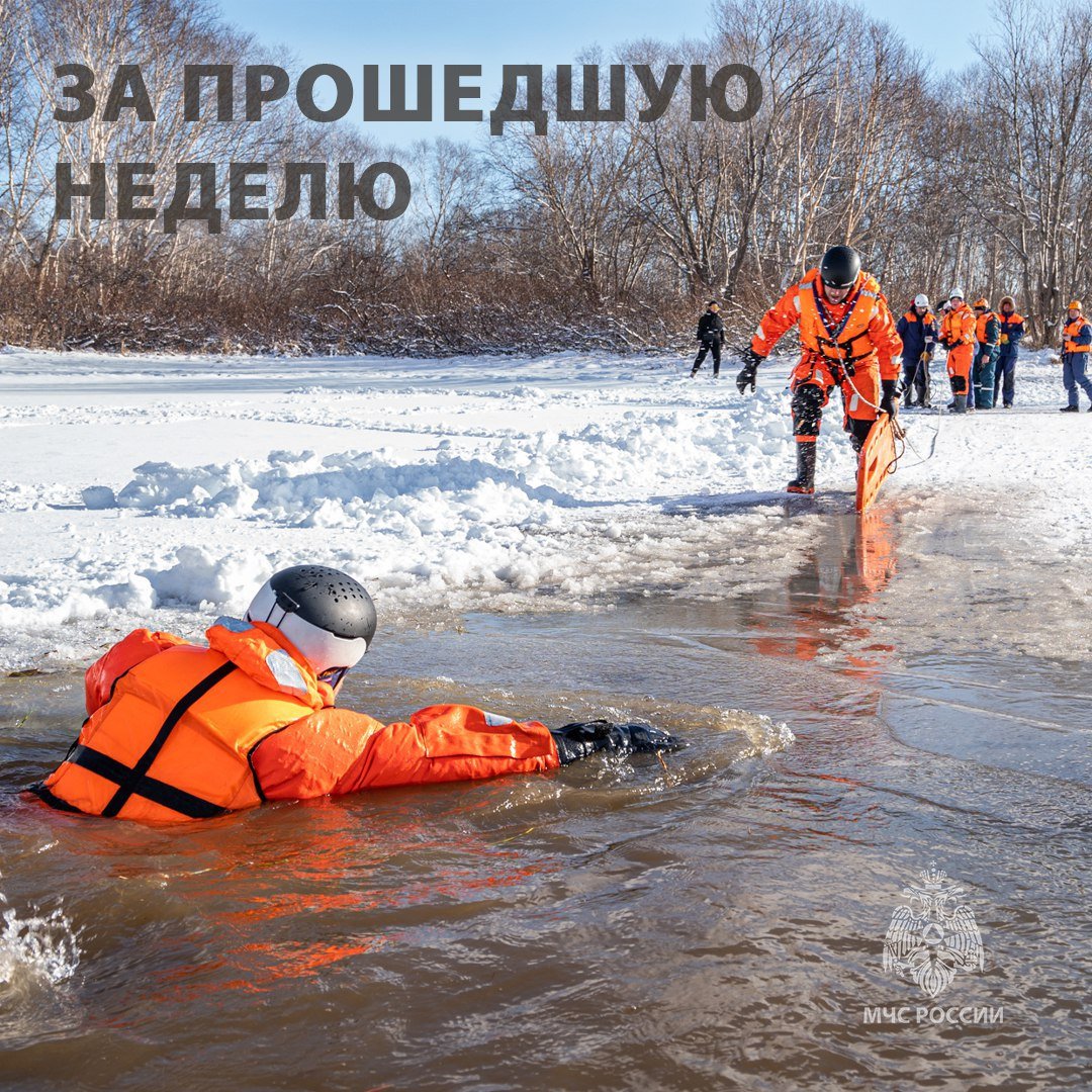 За семь дней поступили сообщения о 28 происшествиях, в которых пострадали 14 человек, 9 спасены, эвакуирован один, травмировался один, к сожалению один человек погиб. Еще двое пропали без вести.   На водных объектах зарегистрировано 1 происшествие.   За отчетный период зафиксировано 3 неощущаемых землетрясения.   Пожарно-спасательные подразделения привлекались к тушению 12 пожаров, в ходе которых спасен 1 человек, эвакуировано 6.   На контроле остается ликвидация последствий ЧС техногенного характера по факту закрытия движения для всех видов транспорта на участке автодороги регионального значения в п. Октябрьский.   Сохраняется повышенная активность вулкана Безымянный. Жителям и гостям полуострова настоятельно рекомендуют не приближаться к окрестностям исполина.   Безопасность начинается с тебя!