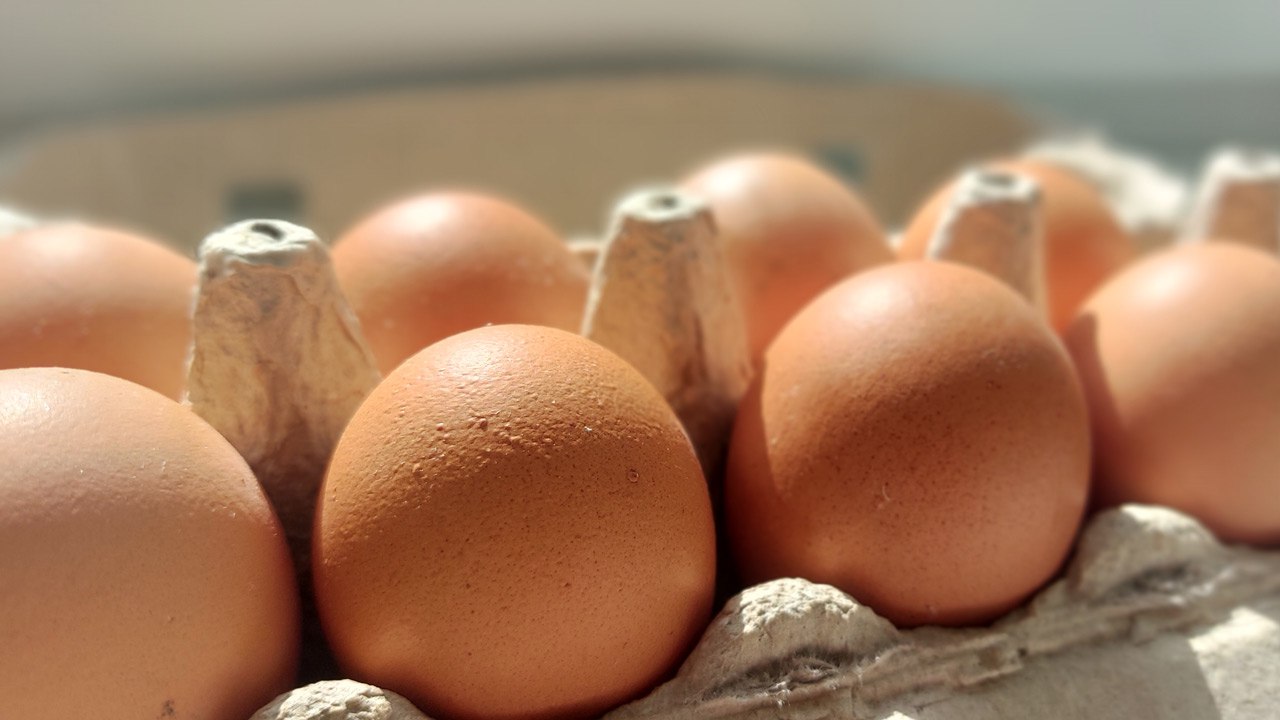 Цены на яйца, куриное мясо и яблоки снизились в Челябинской области УФАС отметило уменьшение стоимости ряда товаров. По мнению ведомства, во многом этому способствуют соглашения о стабилизации цен, которые заключают с участниками рынка. Сейчас действует 17 таких договоренностей. "В процессе анализа служба не выявила нарушений обязательств по сдерживанию цен со стороны производителей товаров и организаций торговли, подписавших такие соглашения", — сообщили в УФАС. В целом же мониторинг показал, что цены на социально значимые товары соответствуют средним в соседних регионах. Вести Южный Урал Челябинск