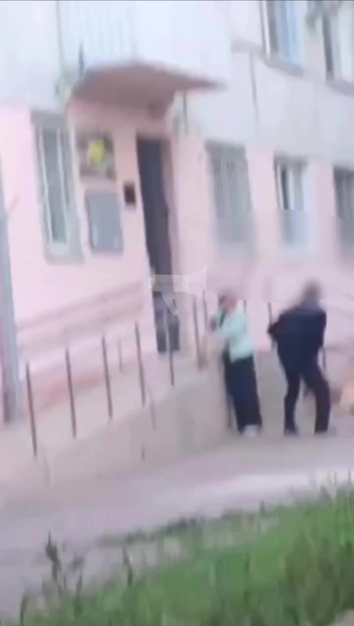 Полиция расследует инциденты с собаками в Ставрополе и Финляндии