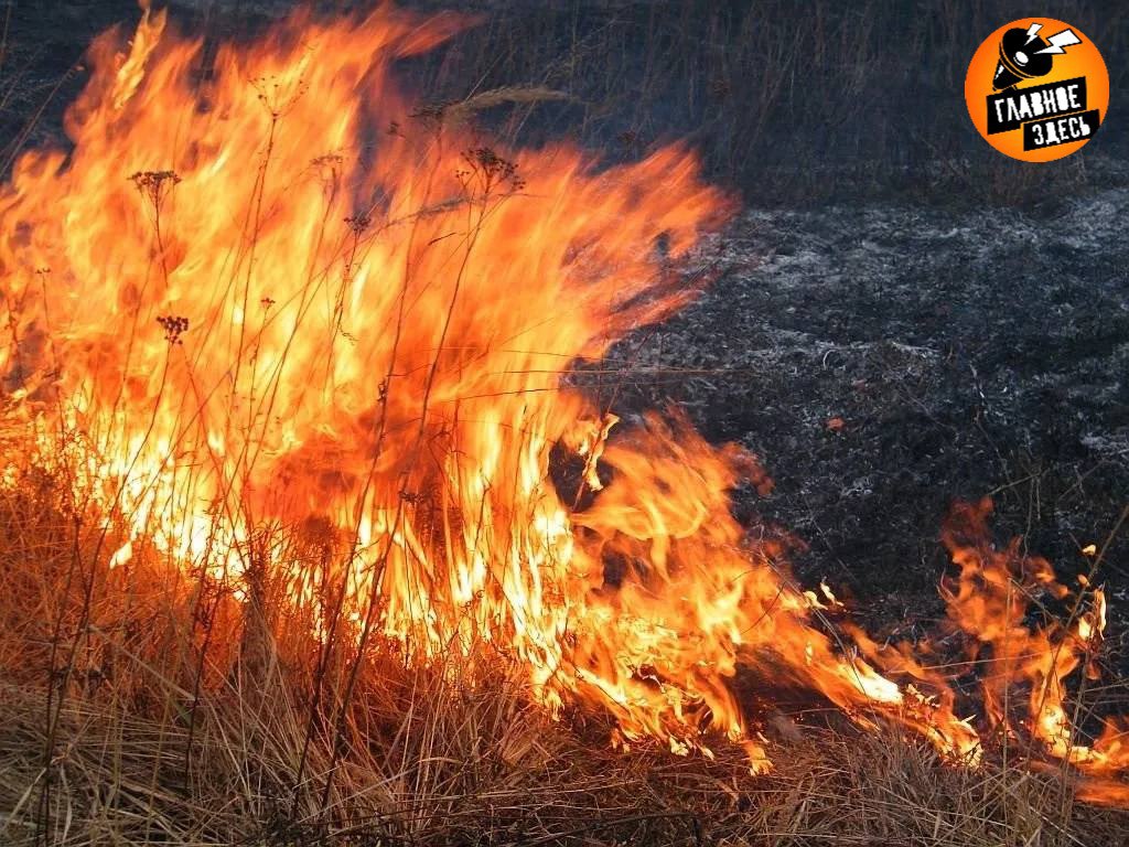 В Подмосковье стало втрое больше возгораний из-за поджогов травы С начала пожароопасного сезона зафиксировано 2165 случаев, тогда как в прошлом году их было 790, сообщили в МЧС. Площадь таких пожаров увеличилась почти в пять раз — до 393 тысяч кв м. Главное — здесь. Подписывайтесь!