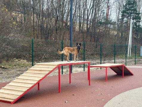 Обновленную площадку для дрессировки собак открыли в Калуге В Калуге открыли новую площадку для дрессировки собак На месте старой собачьей площадки появилась современная зона для тренировок http gtrk kaluga ru news obschestvo news 58902