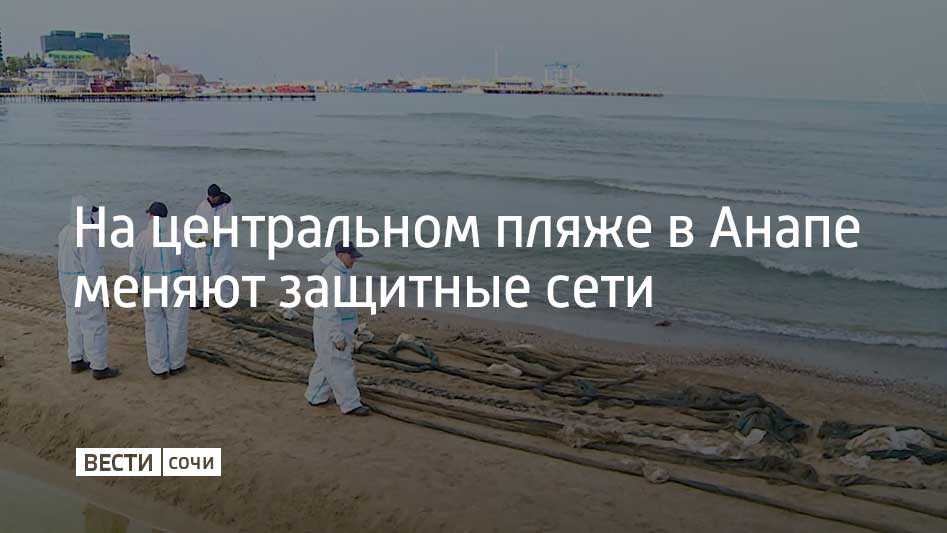 В течение дня 11 апреля специалисты обновят около 900 метров полипропиленовых сетей, на которых скапливается мазут. Об этом сообщили в оперативном штабе Краснодарского края. На центральном пляже специалисты планируют заменить 350 метров сетей. После реки Анапки – еще 300 метров. От проезда "Восход" до проезда "Тополиный-4" уложат до 900 метров новых сетей. "Замазученные сети вывозим на определенное место, где приходит транспорт, мы их загружаем, сети вывозят на предприятие по переработке", – отметил Александр Гореликов, начальник Псебайского аварийно-спасательного отряда "Кубань-СПАС". Как писали ранее "Вести Сочи", в Керченском проливе 15 декабря 2024 года два танкера потерпели крушение. После этого оказались загрязнены мазутом акватория и побережье Краснодарского края и Крыма.