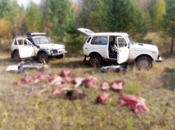 В Братском районе задержали браконьера за охоту на благородного оленя Проводятся следственные мероприятия    Читать подробнее на сайте...