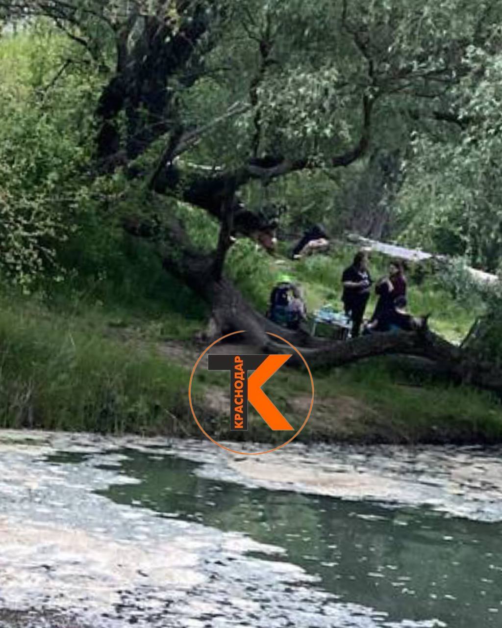На Гидрострое сегодня днем ребята из МЧС вытащили из воды тонущего мальчика. 10-летний мальчик пришел сегодня на берег реки вместе с мамой и ее друзьями. И пока взрослые занимались подготовкой пикника, пацан зачем-то залез в воду. И начал тонуть. Мимо проходили два брата, сотрудники МЧС, увидели тонущего ребенка, бросились в воду и вытащили его на берег. Хорошо, что все закончилось хорошо! свои фото, видео и истории присылайте нашему боту Краснодар Телетайп Подписаться