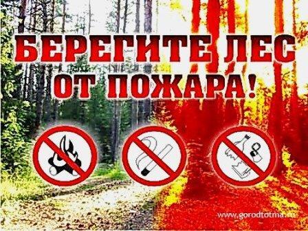 В связи с установлением на территории Сахалинской области устойчивой дождливой погоды понижением среднесуточных температур воздуха и снижением пожарной опасности в лесах пожароопасный сезон на территории лесного фонда Сахалинской области с 1 ноября 2025 года считать закрытым