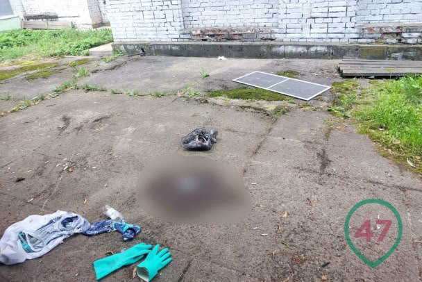 В Тихвине пятилетняя девочка выпала из окна 8-го этажа Как сообщил глава администрации Тихвинского района Алексей Брицун на своей странице в «ВКонтакте» 22 июля, ребенка доставили в реанимационное отделение больницы в крайне тяжелом состоянии. По предварительной информации 47news, девочка выпала из окна в пятом микрорайоне. Известно, что семья переехала из Всеволожского района. Судя по фото, на месте обнаружена москитная сетка.