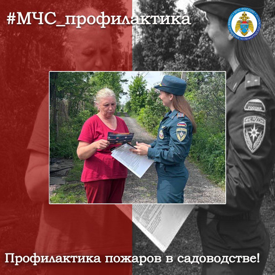 ПРОФИЛАКТИКА В САДОВОДСТВЕ Сотрудники ОНД и ПР Кировского района провели профилактическую встречу с жителями садового товарищества. В ходе мероприятия сотрудники МЧС России рассказали об оперативной обстановке в летний период. Кроме того, специалисты чрезвычайного ведомства уделили особое ввнимание соблюдению домовладельцами требований пожарной безопасности. #МЧС_профилактика МЧС Ленинградской области