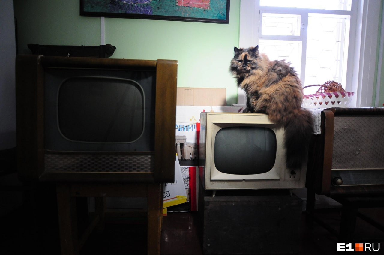 В городах Иркутской области отключат телевидение.  Без паники! Всего на один вечер. Помехи вместо вечерних шоу можно будет наблюдать с 17:00 20 октября до двух часов ночи 21-го.   Подумайте, как можно весело провести этот вечер с семьей? Куда сходить? Чем заняться?   Разыгрываем подарки от Ircity