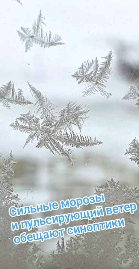 Главный синоптик Приморья Борис Кубай предупреждает Морозы могут усилиться и по всей вероятности сохранятся как минимум до конца января Серьёзных снегопадов не прогнозируется но пульсирующий ветер будет усиливать ощущение холода Ничего удивительного Крещенские морозы