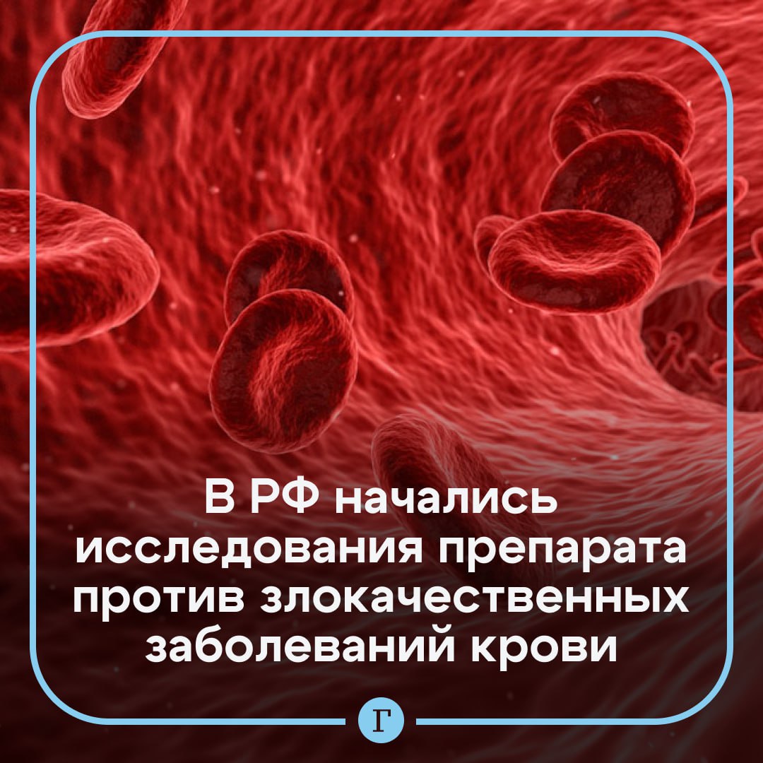 В РФ начались клинические исследования препарата против злокачественных заболеваний крови.  Средство разработана в НМИЦ гематологии при поддержке Минздрава России. Инновационный клеточный препарат собираются применять для лечения особо агрессивных форм В-клеточных злокачественных заболеваний крови.  Клиническое исследование рассчитано на 60 пациентов, которые должны будут получить терапию в ближайший год.  Подписывайтесь на «Газету.Ru»