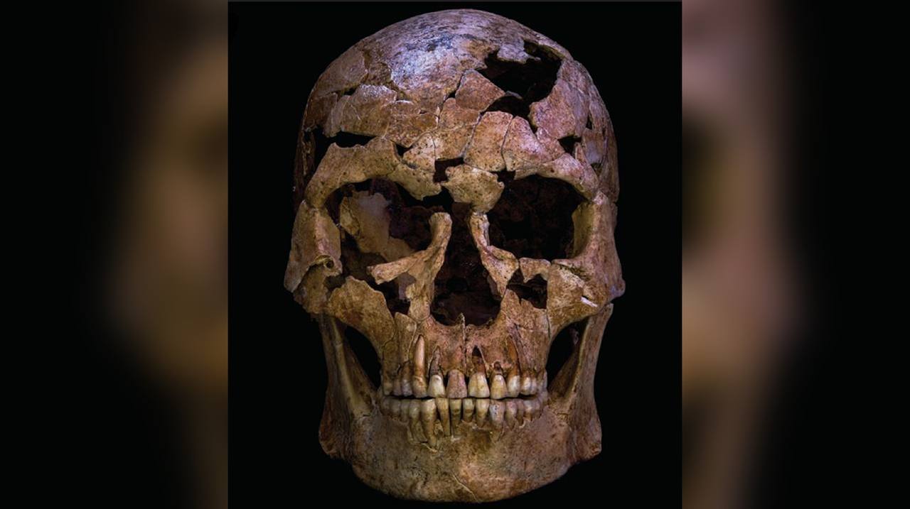 Вьетнамская находка может изменить историю археологи нашли кости мужчины умершего 12 тысяч лет назад от ранения в шею Это может быть первое зафиксированное убийство в Юго Восточной Азии