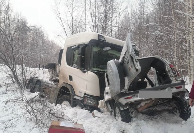 Годовалый ребёнок погиб в ДТП в Кумёнском районе  15 февраля в Кумёнском районе столкнулись «Скания» и «Киа Рио». Травмировались два человека, погиб младенец.  Всего с 14 по 16 февраля в Кировской области зарегистрировали 15 ДТП. Погибли четыре человека и 23 получили травмы.