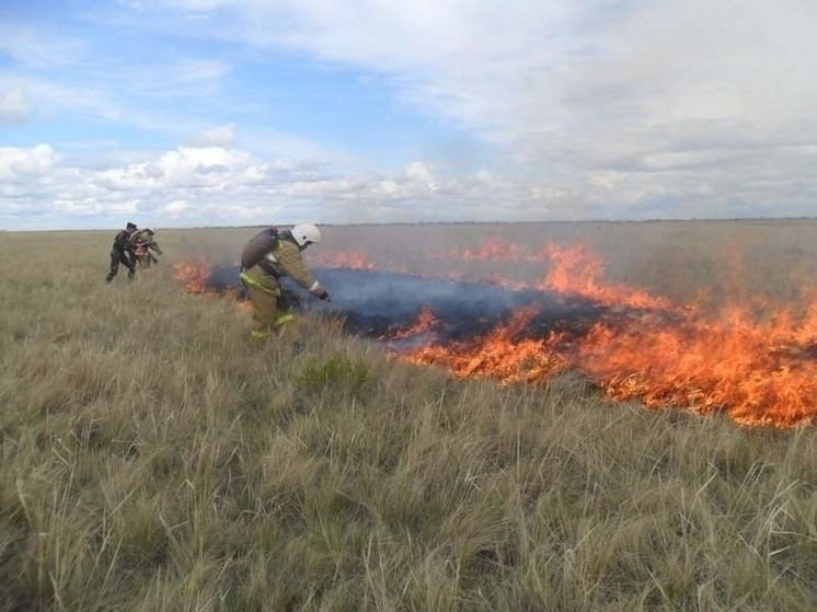 В юго-восточной части Ростовской области и в Приазовье сохраняется чрезвычайная пожароопасность  В юго-восточной части Ростовской области и в Приазовье сохраняется критическая ситуация с точки зрения возникновения пожаров. Согласно информации, предоставленной Росгидрометом, до завершения 31 июля и в течение 1 августа ожидается наивысший, пятый класс пожарной опасности в Заветинском, Ремонтненском и Неклиновском районах, а также в южной части Азовского района.    Кроме того, высокий, четвертый уровень пожарной опасности фиксируется в центральных районах  Константиновский, Усть-Донецкий, Волгодонской, Цимлянский, Семикаракорский, Багаевский, Весёловский, Мартыновский , южных  Кагальницкий, Зерноградский, Егорлыкский, Целинский, Сальский, Песчанокопский, Пролетарский , в отдельных частях северо-западных  Каменский, Красносулинский , северо-восточных  Милютинский, Обливский, Морозовский, Тацинский, Белокалитвинский , юго-восточных  Орловский, Зимовниковский, Дубовский  районах, а также в Приазовье  Октябрьский, Родионо-Несветайский, Аксайский, Мясниковский, Куйбышевский, Матвеево-Курганский, северная часть Азовского района , включая территорию Ростова-на-Дону.    Напомним, что на Дону с апреля месяца действует особый противопожарный режим. Из-за повышенного риска возгораний работы, связанные с огнем в полях и лесах, а также около них, запрещены. Следить за исполнением этих правил должны главы муниципалитетов.   Подписаться на "Новости Ростова"    Прислать новость