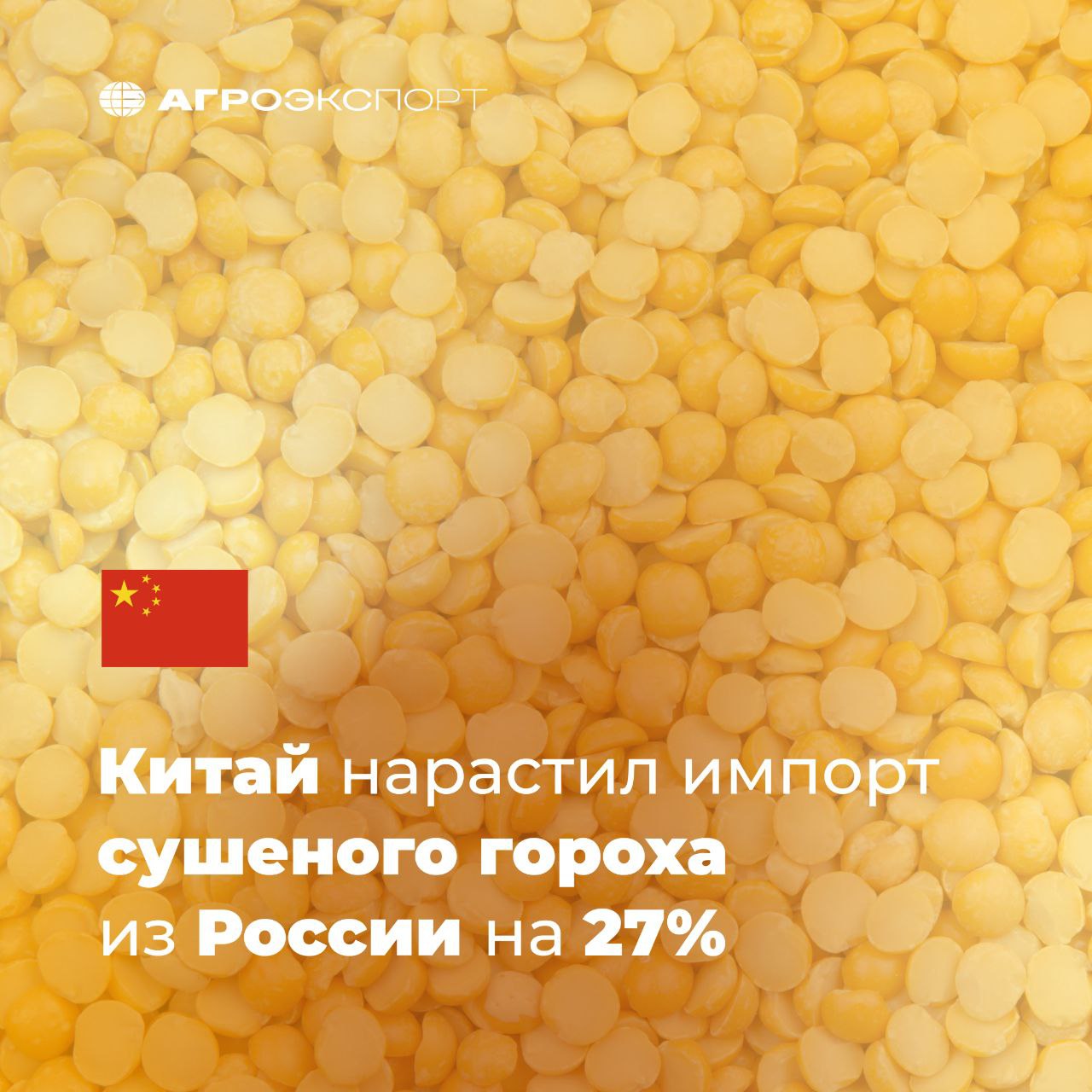 Китай нарастил импорт сушеного гороха из России на 27 Согласно данным ГТУ КНР за 8 месяцев 2025 года Китай импортировал из России более 515 тыс тонн сушеного гороха на более чем 186 млн долл США В сравнении с аналогичным периодом прошлого года объем импорта вырос на 23 в натуральном выражении и 27 в стоимостном Россия занимает лидирующую позицию в списке стран экспортеров сушеного гороха в Китай Россия 515 тыс тонн на 186 млн долл США Канада 417 тыс тонн на 172 млн долл США Австралия 36 тыс тонн на 17 млн долл США США 33 тыс тонн на 18 млн долл США Аргентина 32 тыс тонн на 17 млн долл США Всего же за 8 месяцев 2025 года Китай импортировал более 1 млн тонн сушеного гороха на 435 млн долл США агроэкспорт новостиАПК