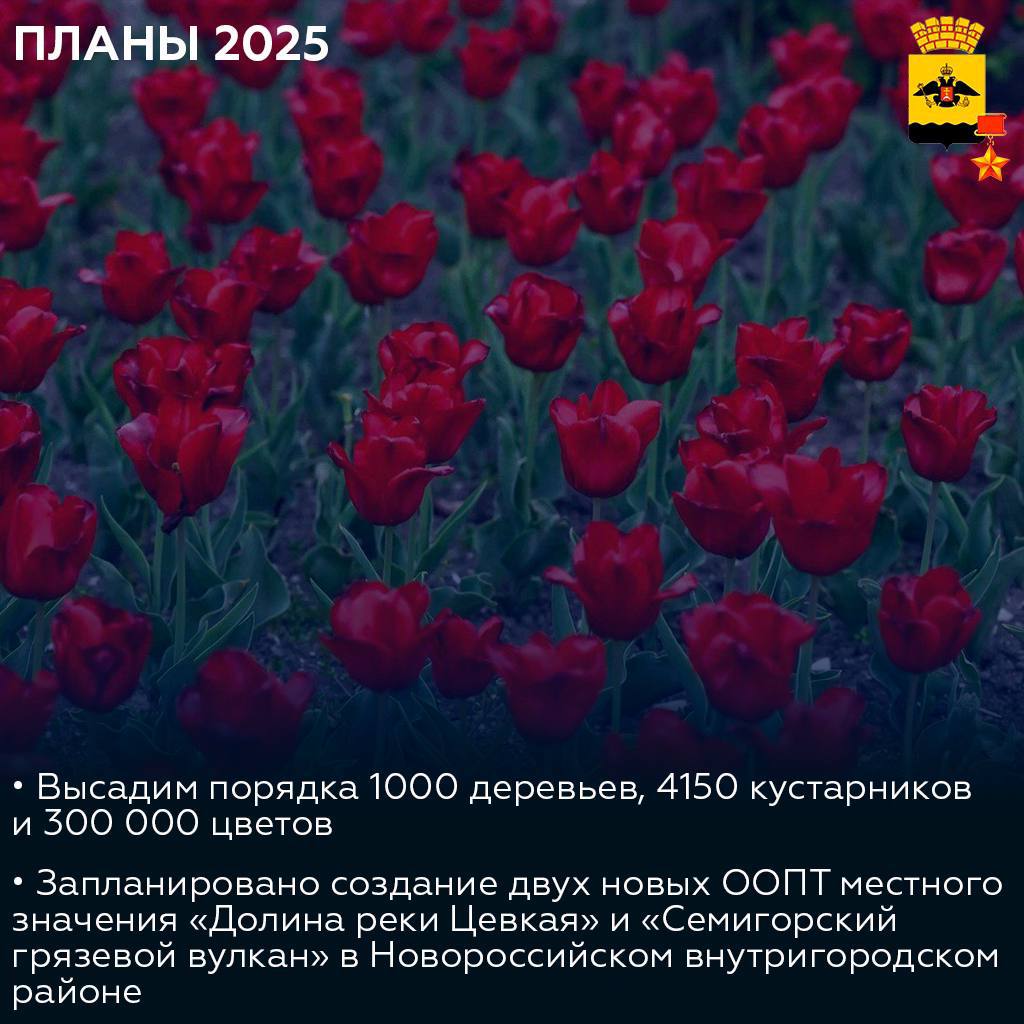 Планёрное совещание: определили задачи на 2025 год  ↔  в карточках представлена лишь часть запланированных к реализации проектов.