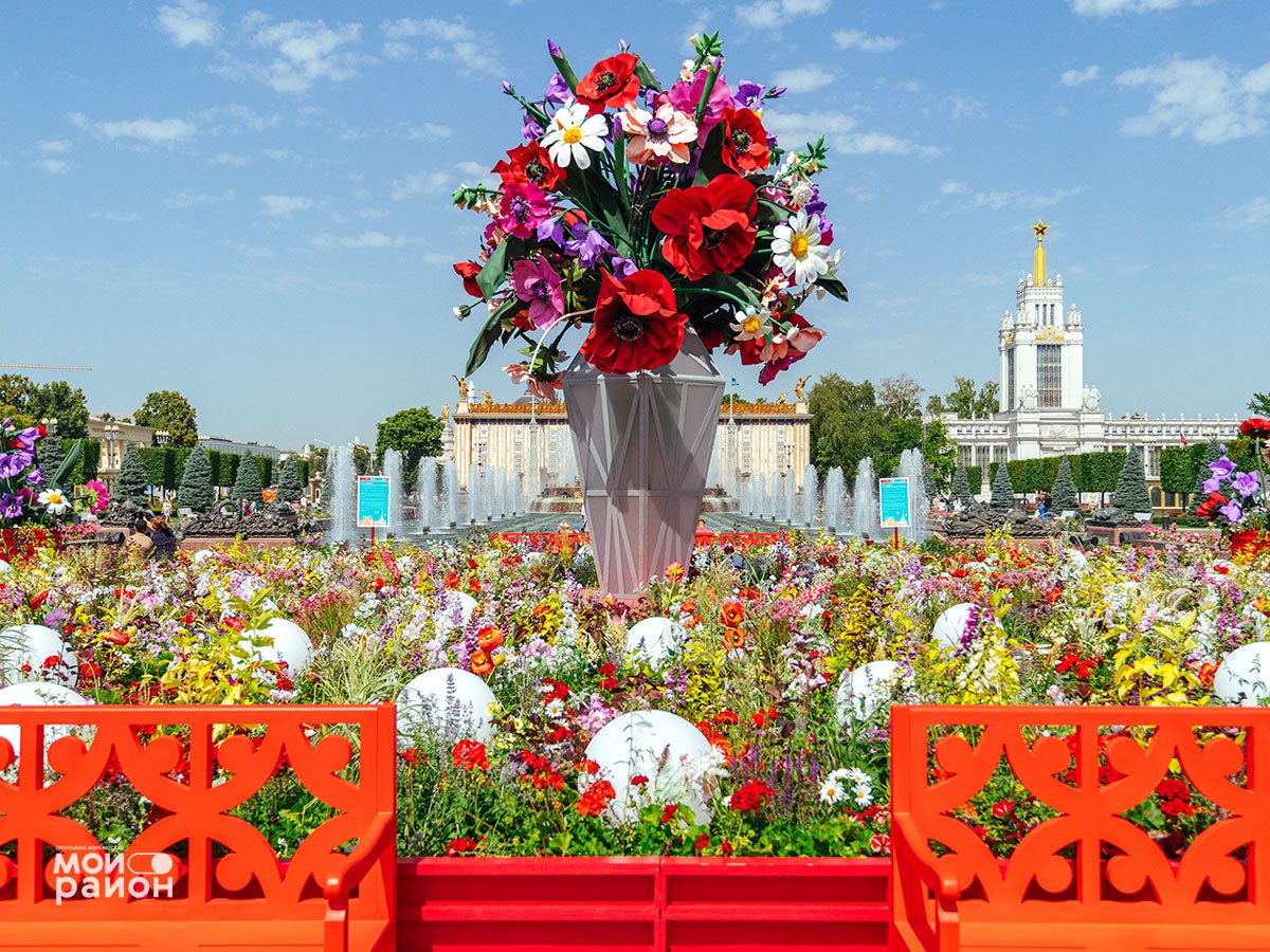 Настоящее цветочное поле в черте города: на ВДНХ распустился «Главный букет страны». Именно так называется новый арт-объект, появившийся на главной аллее выставки у фонтана «Каменный цветок». В центре композиции – ваза с букетом полевых цветов, созданных театральными художниками-декораторами. Вокруг вазы простираются пышные цветники с более чем 300 видами живых растений: это маки с ромашками, петунии, космея, герань, шалфей, наперстянка и многие другие. А по периметру цветников установлены ретро-скамейки – реплики оригинальных лавочек ВДНХ образца 1939 года. На карте Подпишись на «Про Мой район»