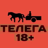 Аватар Телеграм канала: 🛒ТЕЛЕГА 18+ Онлайн Новости