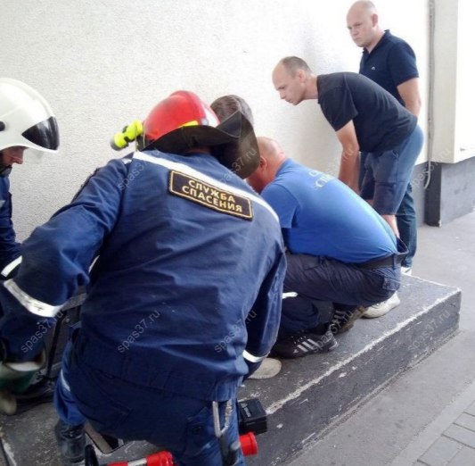 В Иванове спасатели освободили застрявшую в решетке девочку  Сегодня около часа дня областной поисково-спасательный отряд вызволил восьмилетнюю девочку, нога которой застряла в решетке приямка многоэтажного дома. Прибывшие на место спасатели использовали новый аккумуляторный инструмент – гидравлические ножницы, чтобы быстро освободить ребенка. По словам старшего дежурной смены Марата Сибагатуллина, к дому было сложно подъехать, а девочка сильно плакала, поэтому спасатели оперативно применили новый инструмент для оказания помощи.  ---------- Сайт:   Бот обратной связи в ТГ: