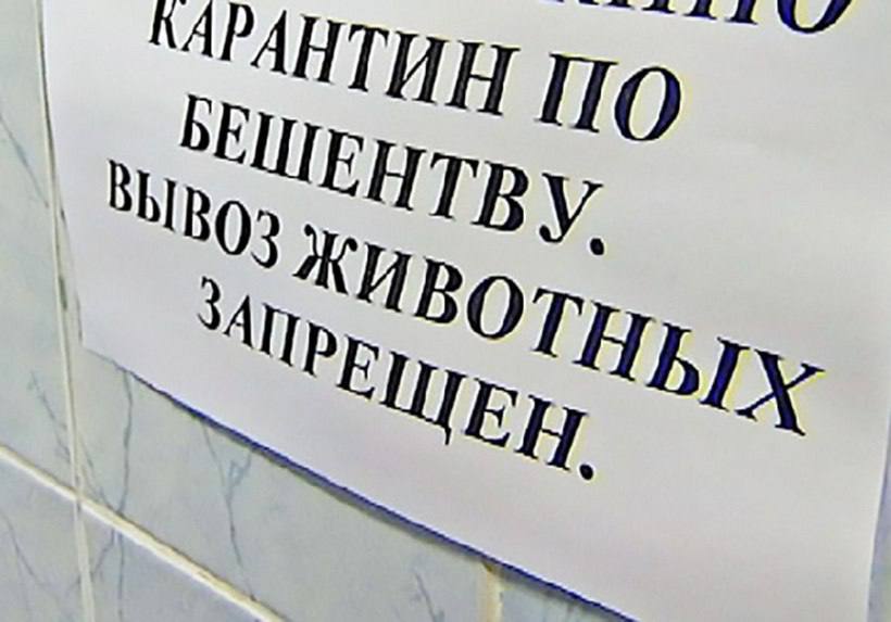 Около садоводческого товарищества Агния в Новочебоксарске выявлен очаг бешенства На территории введен карантин Соответствующий указ подписал глава Чувашии Олег Николаев Карантин по бешенству введен с 9 сентября 2025 года и до особого распоряжения Неблагополучный пункт определен в радиусе 500 м от очага Республиканской Госветслужбе поручено разработать и утвердить план мероприятий по ликвидации очага и предотвращению распространения возбудителя На время карантина в неблагополучном пункте действует ряд ограничений включая ввоз и вывоз восприимчивых животных кроме вакцинированных перемещение и перегруппировку таких животных отлов диких восприимчивых животных для вывоза в зоопарки