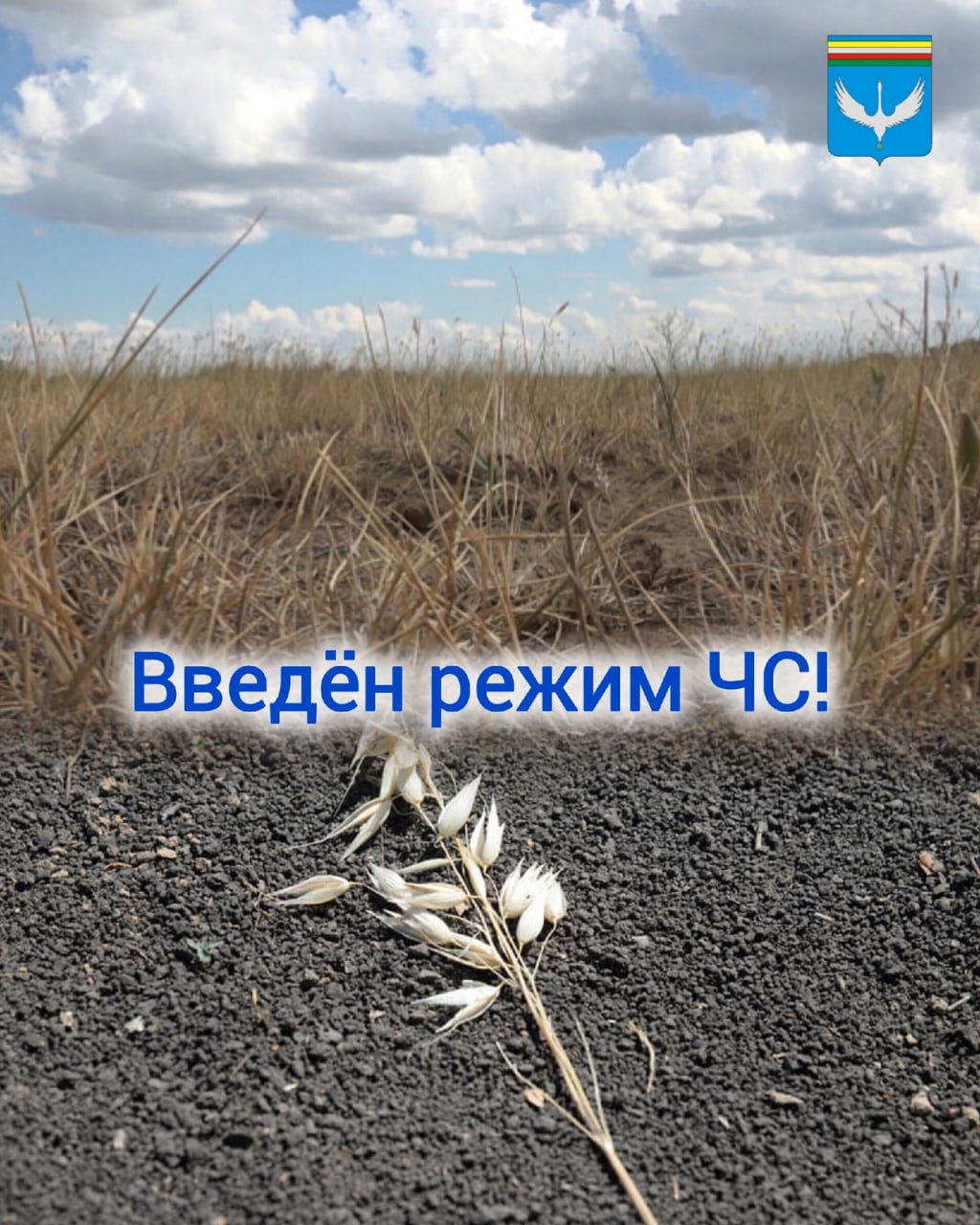В Еравнинском районе ввели режим ЧС. Причиной тому – атмосферная и почвенная засуха, от которой гибнут сельскохозяйственные культуры. Об этом 31 июля сообщили в пресс-службе районной администрации. Отмечается, что от засухи пострадали уже 10 сельских поселений: Ульдургинское, Усть-Эгитуйское, Эгитуйское, Комсомольское, Улхасааское, Сосново-Озерское, Тулдунское, Гундинское, Озерное и Целинное. #бурятия