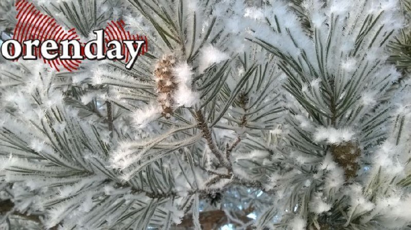 Orenday Оренбург   Новогодняя ночь в России обещает быть снежной и морозной рассказали в Институте экологии РУДН Исходя из этого с большей долей вероятности можно ожидать легкий мороз и наличие снега в новогоднюю ночь Также традиционно ожидаем рождественских морозов