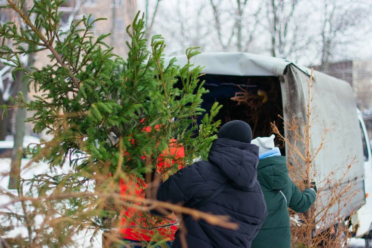 В Петербурге и Ленобласти продолжается акция по переработке новогодних ёлок.    До 9 февраля в рамках акции «Ёлки, палки и щепа» собранные деревья перерабатывают в щепу для подкормки животных и подстилок в вольерах.    11 и 12 января с 10:00 до 20:00 ёлки можно сдать в экоцентры на Дунайском проспекте, 48, и Народной улице, 65.