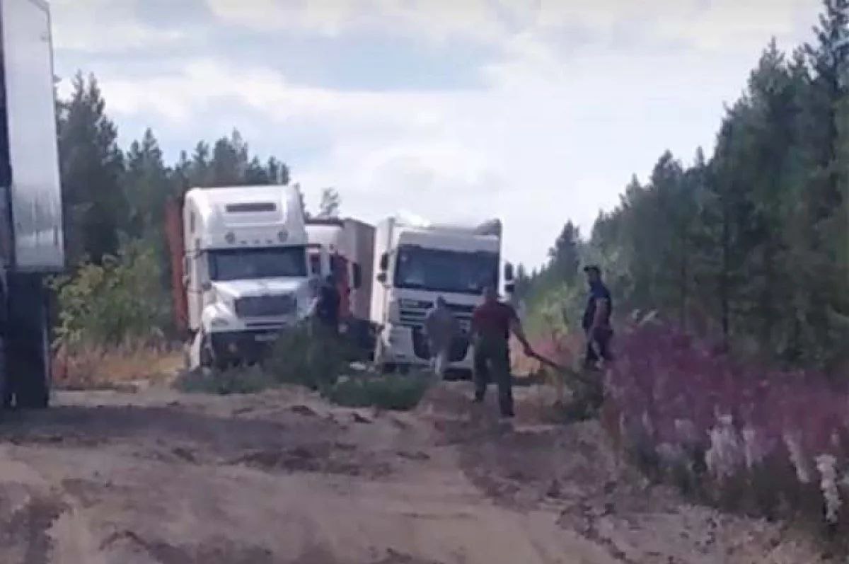Жители села Светлогорье написали обращение на имя председателя следкома РФ Александра Бастрыкина по поводу неудовлетворительного состояния дороги. В настоящее время СУ СК России по Приморью начата проверка по этому заявлению. Бастрыкин потребовал доложить ему результаты. Как следует из обращения жителей, дорогу разбирают грузовые машины, которые перевозят добываемую в Светлогорье скальную породу. «Асфальтовое покрытие на дороге Светлогорье - Бикин разрушилось, на его поверхности образовались многочисленные ямы и колеи» , - пишут жители северного села из Приморья в своём обращении. По мнению людей, разбитая дорога мешает не только жителям перемещаться по селу, но и не дает нормально работать коммунальным службам, полиции и медикам. «Мы находимся в изоляции», - считают жители. Также в обращении добавлено, что ранее на их обращения не реагировали. Подробнее на сайте АиФ Приморье.