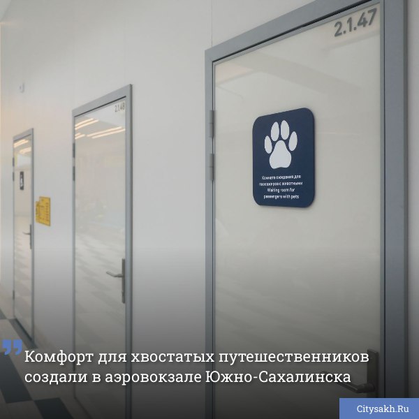 Главная воздушная гавань Сахалина стала одной из первых в России, где обустроили специально оборудованное пространство для ухода за питомцами. Теперь хвостатым путешественникам не придется выходить из здания аэровокзала, чтобы совершить прогулку, все необходимые условия для животных создали в новом помещении. Есть о чем рассказать? Пришлите новость