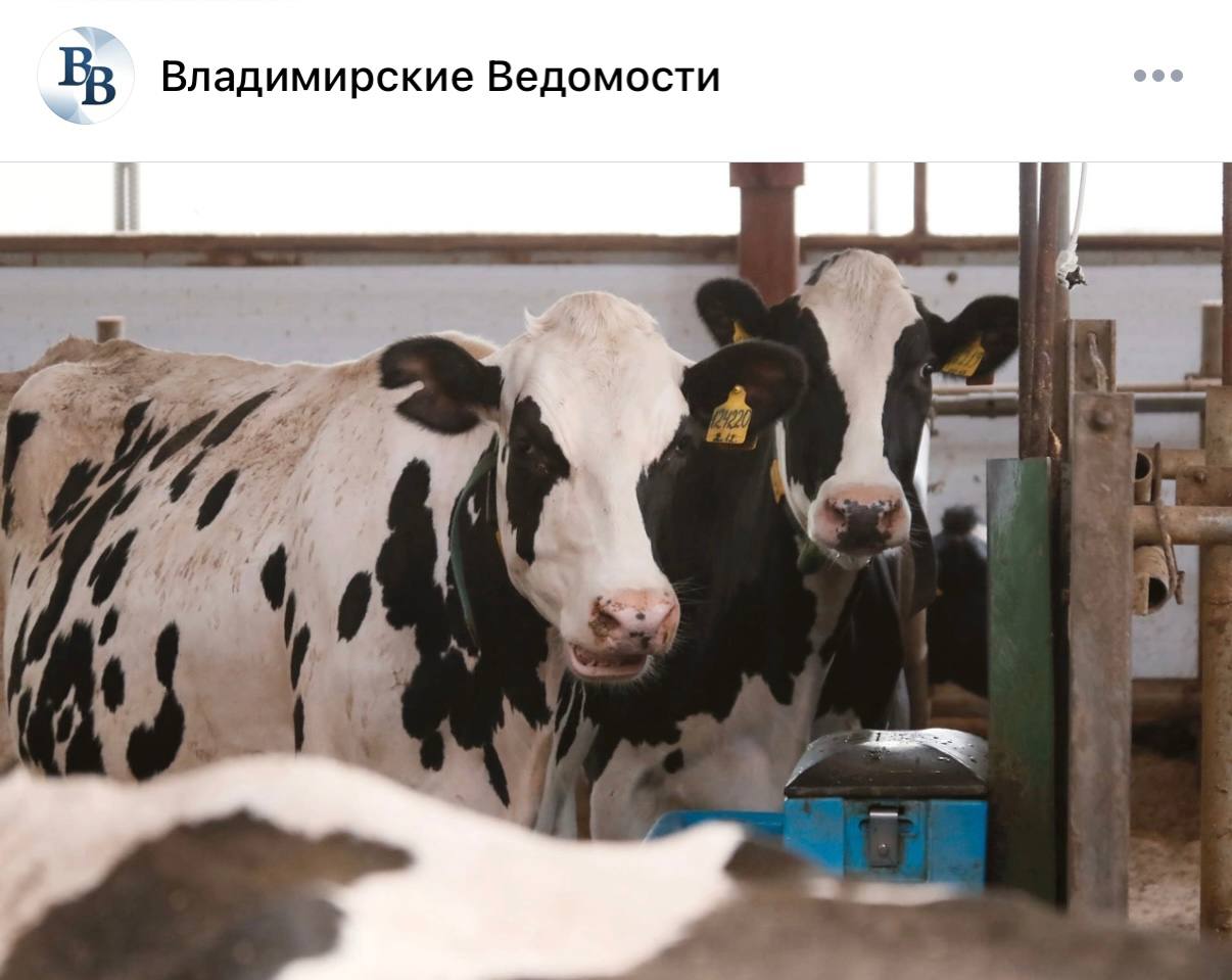 Коровошеринг новая фермерская услуга может появиться в регионе Идея заключается в том что человек покупает корову но не забирает её а оставляет на ферме получая натуральную молочную продукцию от собственной коровы Вход в бизнес около 350 тысяч рублей столько стоит дойная буренка Содержание ветуход кормление доение обеспечивает ферма собственник может наблюдать за своим животным онлайн и 1 2 раза в месяц забирает молочную продукцию В среднем за год он получит молочки примерно на 70 тысяч рублей Опыт последних лет показывает что креативные идеи вызывают наибольший интерес в обществе особенно у молодежи из городов В рамках проекта партии Единая Россия Российское село обязательно рассмотрим возможность масштабирования новой практики и применения ее во Владимирской области прокомментировал инициативу председатель комитета Заксобрания по аграрной политике природопользованию и экологии Айтуган Текегалиев