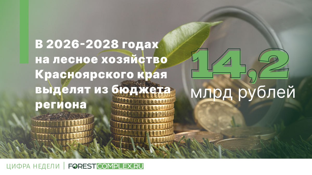 Красноярский край утвердил объём краевого финансирования лесного хозяйства на ближайшие три года На охрану защиту и воспроизводство лесов сохранение видового разнообразия и природных комплексов Красноярский край направит с 2026 го по 2028 год 14 2 млрд рублей Накануне краевое правительство утвердило бюджет региональной программы Развитие лесного хозяйства воспроизводство и использование природных ресурсов сообщили в минприроды региона Мероприятия по борьбе с лесными пожарами обойдутся краевому бюджету в 8 5 млрд рублей Часть средств заложена на обслуживание и развитие системы дистанционного мониторинга До 2029 года на лесных мачтах сотовой связи установят 11 новых видеокамер тем самым увеличив охват краевых лесов круглосуточным видеонаблюдением По региональной программе профинансируют закупку новой спецтехники и оборудования В документе предусмотрены и расходы на тушение ландшафтных пожаров На лесовосстановление в крае по нацпроекту Экологическое благополучие направят 419 6 млн рублей Они будут расходоваться в том числе на уход за объектами лесного семеноводства закупку лесохозяйственной техники и оборудования для лесных питомников возведение ещё одной мини теплицы для выращивания сеянцев с ЗКС цифра недели forestcomplex