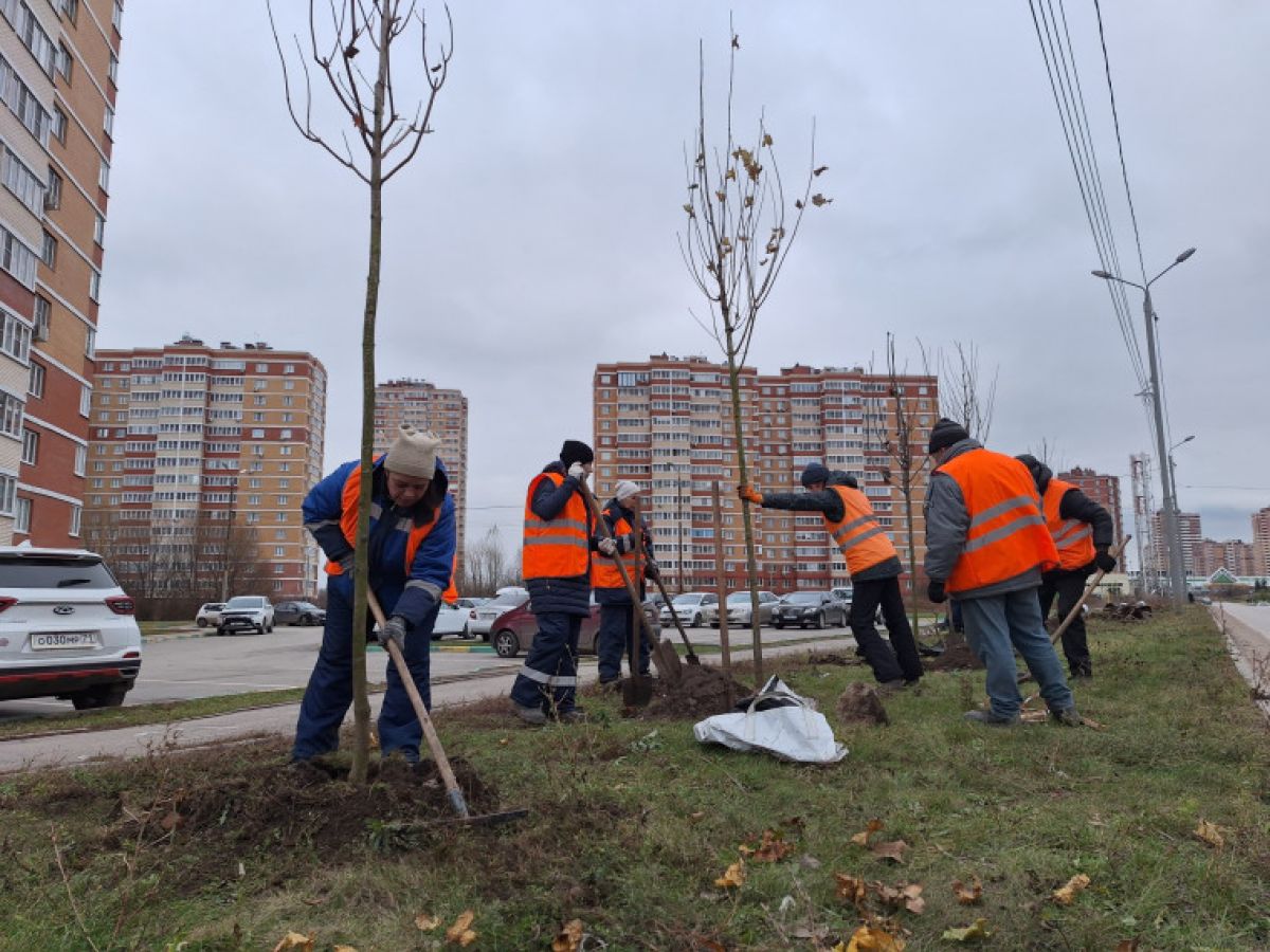 В Юго-Восточном микрорайоне Тулы высадили 30 клёнов  Сегодня, 11 ноября, в районе военно-исторического комплекса «Партизанская деревня» высадили 70 сосен. Об этом сообщает пресс-служба администрации города.  Читать далее...    TULA.SMI. Не только новости Подписаться