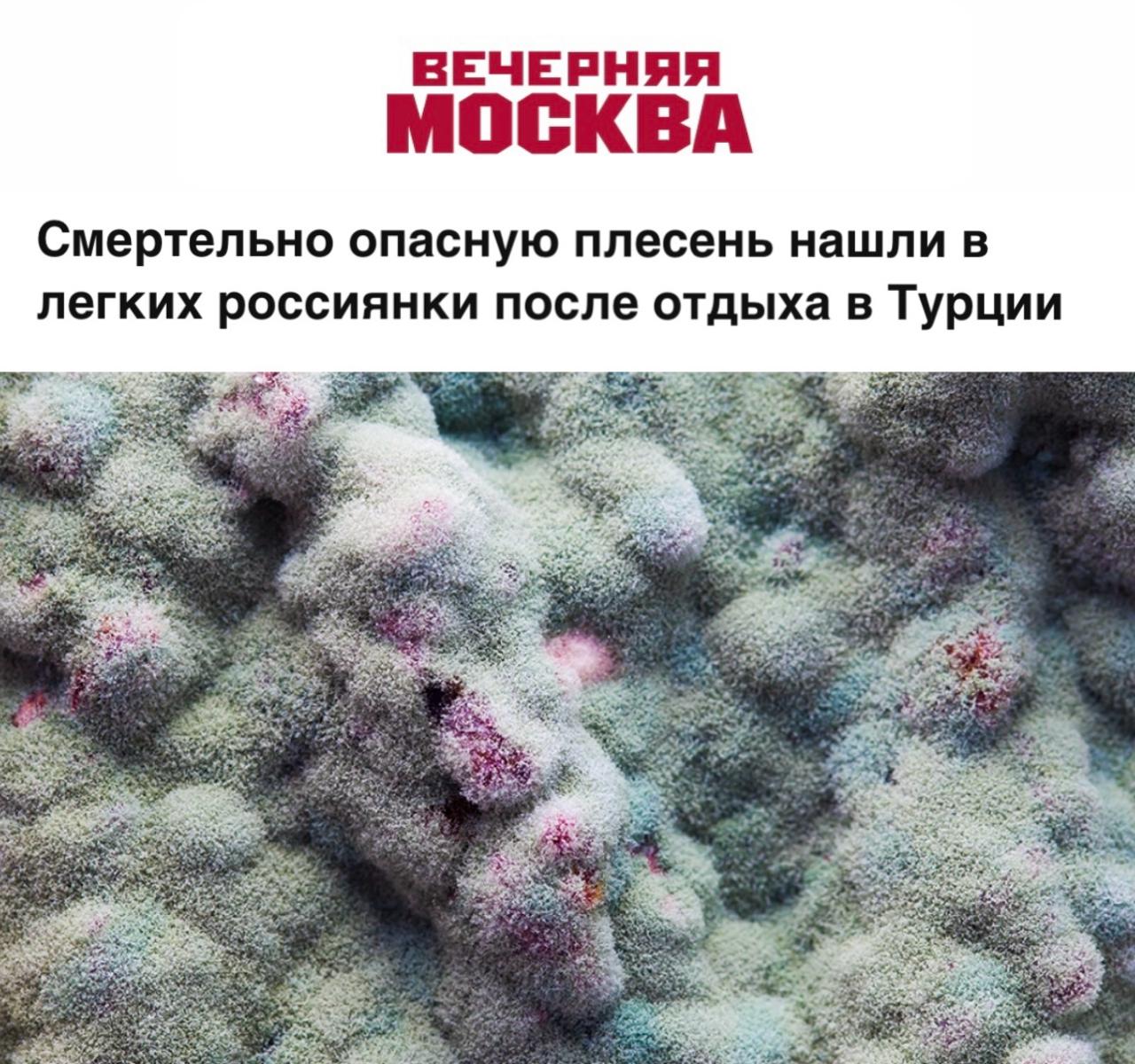 Смертельно опасную плесень нашли в легких россиянки после отдыха в Турции Болезнь развивалась незаметно в течение двух месяцев после возвращения домой После возвращения с отдыха в Турции у россиянки появились сильный сухой кашель и насморк которые со временем усиливались Спустя два месяца врачи нашли в ее легких смертельно опасные грибки рода Aspergillus Девушке поставили диагноз аллергический аспергиллез осложненный кандидозом дыхательных путей Болезнь вызывают опасные грибки рода Aspergillus Вдобавок к этому в анализах пациентки нашли дрожжевой грибок бактерии и аллергическую реакцию