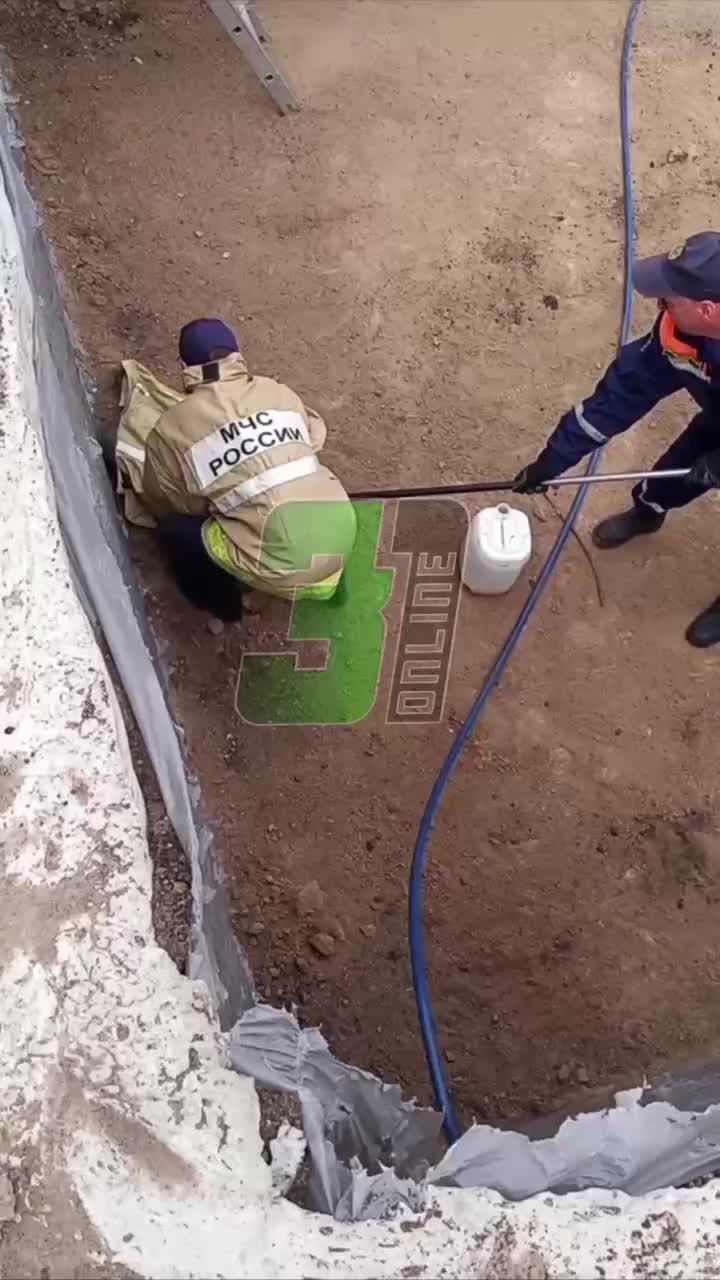 Спасатели освободили косулёнка из котлована в Белгородском районе