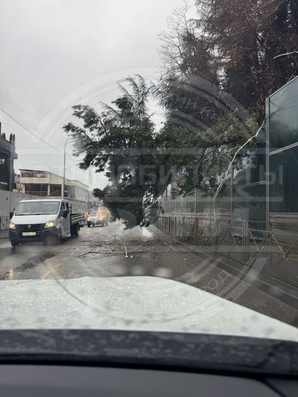 В Сочи упавшее дерево повредило шумозащитный экран   На улице Яна Фабрициуса большое дерево упало на проезжую часть, повредив шумоподовляющее стекло около парка «Дендрарий».   В результате одна полоса оказалась заблокирована для проезда.  Пострадавших нет. Движение затруднено. Специалисты уже устраняют последствия.   :