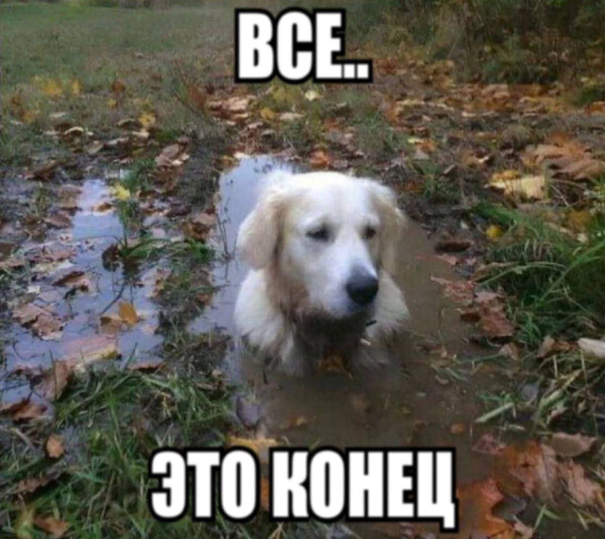 Вывоз мусора стал дороже Олерон в своем тг канале рассказал что тариф для читинцев вырос со 129 рублей 56 копеек до 149 рублей 11 копеек Столько нужно будет платить до конца 2025 года Для начисления оплаты потребителям применяется тариф 895 00 рублей за кубический метр Для граждан ежемесячная плата за вывоз ТКО за одного человека составляет 149 рублей 11 копеек Сумму подняли по приказу Региональной службы по тарифам и ценообразованию Пресс служба компании отметила что они не имеют права комментировать это решение По словам гендиректора Олерон Елены Курдюмовой оператора устраивает прошлый тариф но не норматив накопления мусора По замерам 2021 2025 годов он составляет около 3 3 5 кубометра на человека тогда как фактически мусора вывозится больше Из за заниженного норматива прибыль компании выходит меньше чем должна быть Курдюмова подчеркнула что если норматив на 2026 год не повысят до реальных показателей Олерон готов подать в суд на регион Подписаться на Чита Ру в МАХ