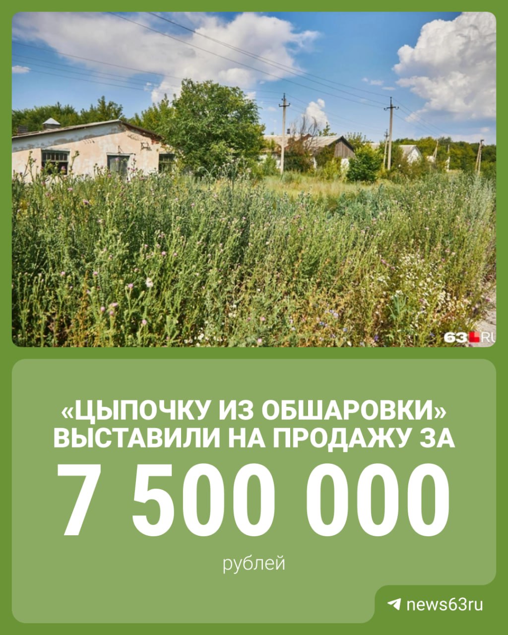 Легендарные цеха в Рождествено остатки птицефабрики Цыпочка из Обшаровки продают за 7 5 миллионов рублей Объект предлагают использовать под склад производство или сельское хозяйство Предприятие Цыпочка из Обшаровки когда то занимало 40 местного рынка мяса птицы но прекратило работу в 2014 году Попытка возрождения в 2018 году не увенчалась успехом и теперь исторический комплекс снова ищет нового владельца 63RU ТЕПЕРЬ В MAX