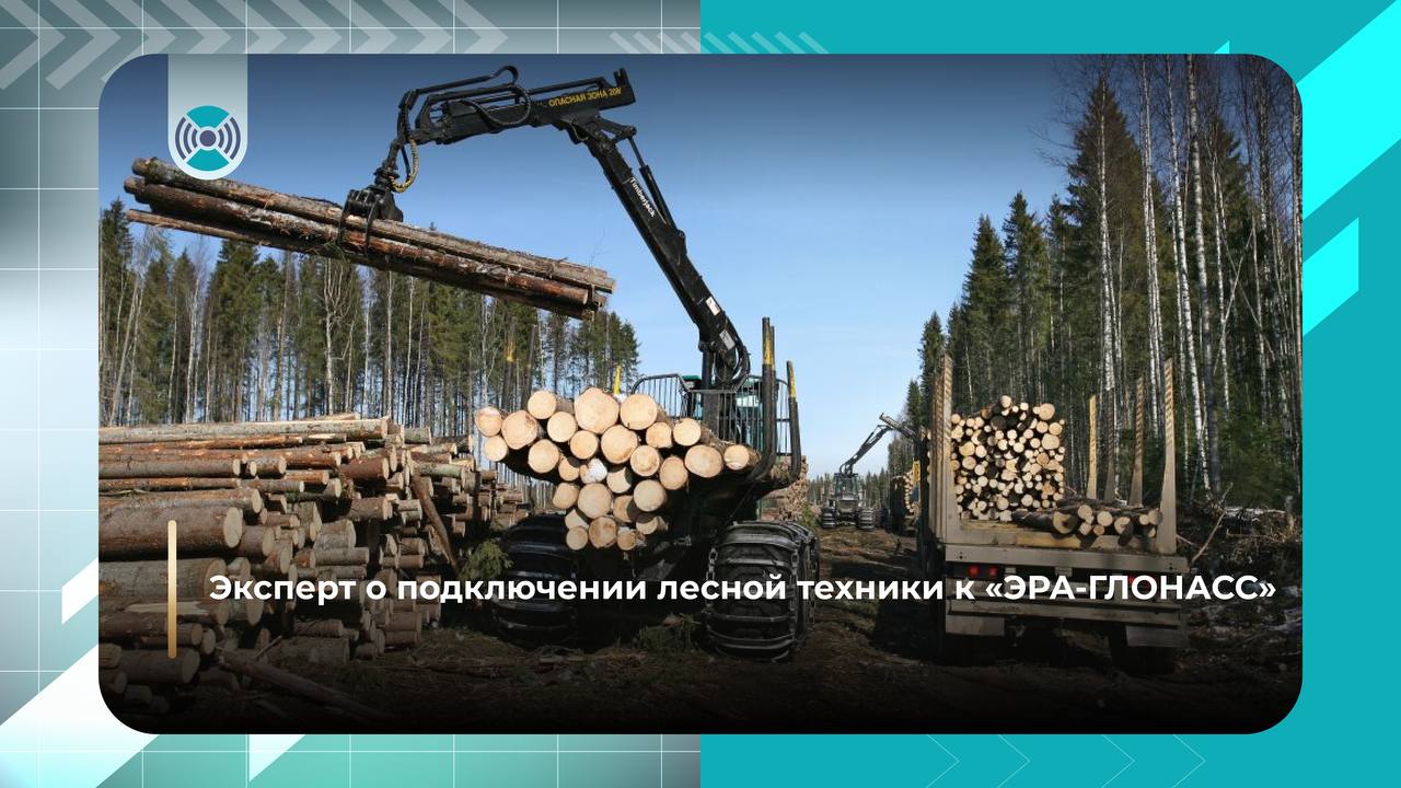 Рослесхоз отметил важность подключения лесной техники к «ЭРА-ГЛОНАСС» для ответственных перевозчиков   Заместитель руководителя ведомства Вячеслав Спиренков на форуме «Российский лес» рассказал о результатах пилотного проекта по мониторингу лесовозов, а также оцелях подключения техники к госинформсистеме «ЭРА-ГЛОНАСС»:   Коллеги переживают за транспортировку древесины и требование устанавливать датчики, подключенные к «ЭРА-ГЛОНАСС». Но надо понимать, что такая технология уже внедрена в общественных пассажирских перевозках, в транспортировке опасных грузов, то есть опыт подключения датчиков уже есть.    Требования будут стимулировать российскую перевозку, российских транспортников. Это точно будет стимулировать эффективную, "белую" перевозку древесины ответственных грузоперевозчиков.   Мы проводили весь год эксперимент, более 60 различных моделей лесной техники было подключено к "ЭРА-ГЛОНАСС", более 10 тыс. часов, 257 тыс. километров. Система работает, она во ФГИС Лесного комплекса передает треки. Сейчас 2 500 контрагентов подали заявки в АО «ГЛОНАСС» на получение 11 тыс. сим-карт, и более 4,5 тыс. сим-карт уже выдано для работы.    Эксперимент по мониторингу лесной техники с помощью системы «ЭРА-ГЛОНАСС» успешно проходил в течение 2024 года. Пилотный проект, проходящий в Архангельской, Костромской и Ульяновской областях, организован Рослесхозом совместно с Минпромторгом РФ и АО «ГЛОНАСС».