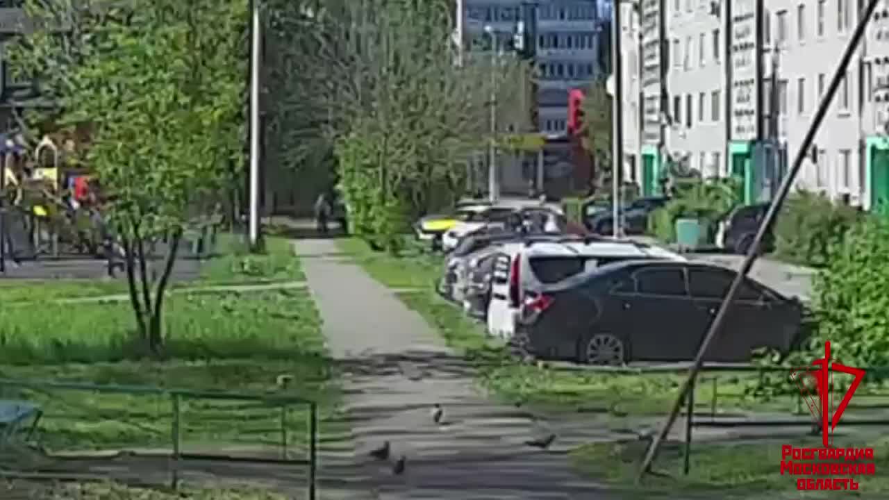 Грабитель задержан в Воскресенске после неудачной попытки кражи