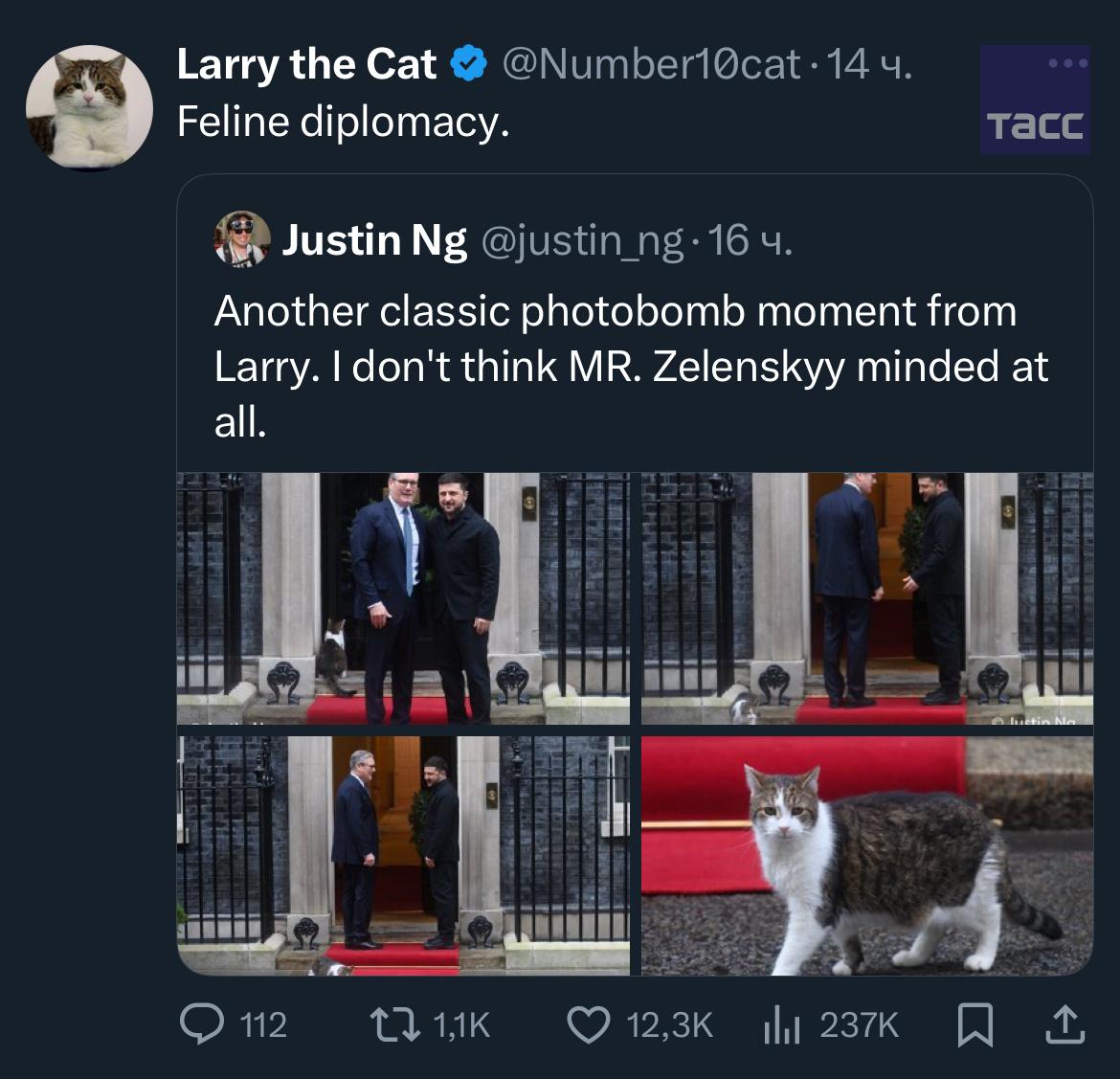 Кошачья дипломатия Так кот мышелов Ларри прокомментировал свои фотографии со Стармером и Зеленским Подпишись RogandarNEWs мы в MAX