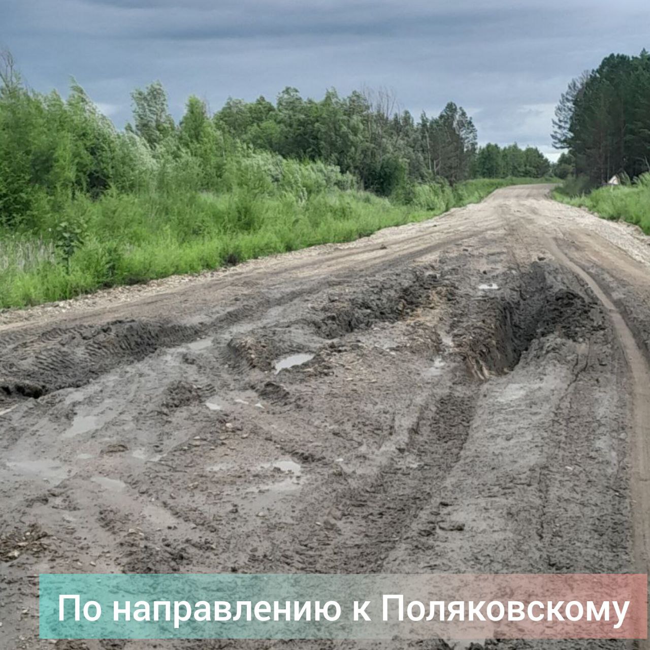 Жители Зейского округа жалуются на состояние дорог в Октябрьский, Поляковский, Снежногорский, на Золотую Гору. На видео – трасса Зея – Поляковский, Петропавловский подъем. Очевидцы рассказывают, что грунтовые дороги разбивают золотодобытчики. В одном из комментариев пишут, что китайцы тянут драгу. Глинистые участки дорог "ползут", из-за большегрузов образуются огромные колеи и выбоины. Местным жителям сложно добираться в окружной центр. Большие машины несутся под 100 км/час., в жаркую погоду пыль из-под "копыт" долго не рассеивается, виодимость на трассе плохая. "Малыши" сползают с дорог по каше, их сечёт камнями из-под КамАЗов. Видео из соцсетей. #ЗейскийВестник