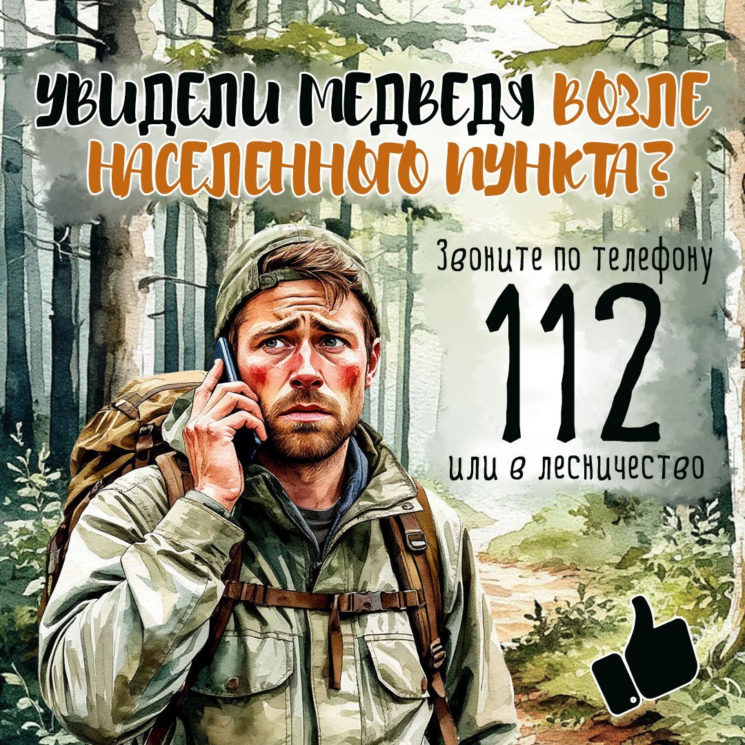 В Сахалинской области участились случаи встречи людей с медведями Четверолапые выходят на дороги, к кладбищам и в населенные пункты. Также существует риск встречи хищника в лесу. Как обезопасить себя до и после встречи с медведем, смотрите в карточках #Итуруп #Курильскийрайон