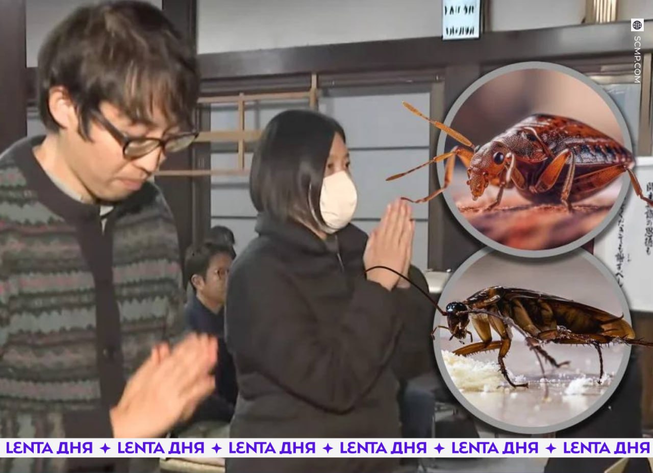 Компания средств от насекомых уже 40 лет молится за погибших тараканов и блох Ежегодно около ста сотрудников собираются в буддийском храме Во время церемонии монах читает сутры а работники жгут благовония и молятся за насекомых погибших во время лабораторных испытаний Представители компании признаются изначально они считали ритуал странным но со временем поняли что он помогает осознать ценность любой жизни этих в дурку Подпишись на Ленту дня MAX ТГ