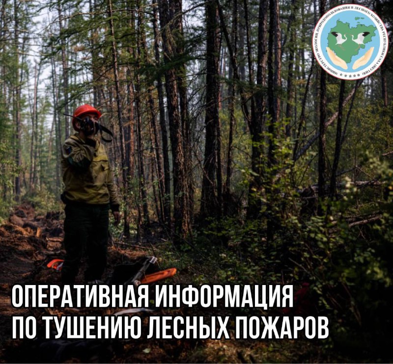 Оперативная информация о лесных пожарах на утро 26 мая 2025 года С начала пожароопасного сезона в Республике Саха Якутия ликвидировано 88 лесных пожаров на общей площади 24 146,45 га. На начало суток 26 мая 2025 года действуют 5 лесных пожаров на площади 597 га на территории Ленского, Момского, Олекминского и Эвено-Бытантайского районов. Оперативность тушения составляет 68 %. С начала сезона установлено 32 виновника природных пожаров, составлено 77 протоколов за нарушение правил пожарной безопасности в лесах. Особый противопожарный режим действует на территории Верхоянского района и го Якутск. При обнаружении лесного пожара звоните в прямую линию лесной охраны 8-800-100-94-00.