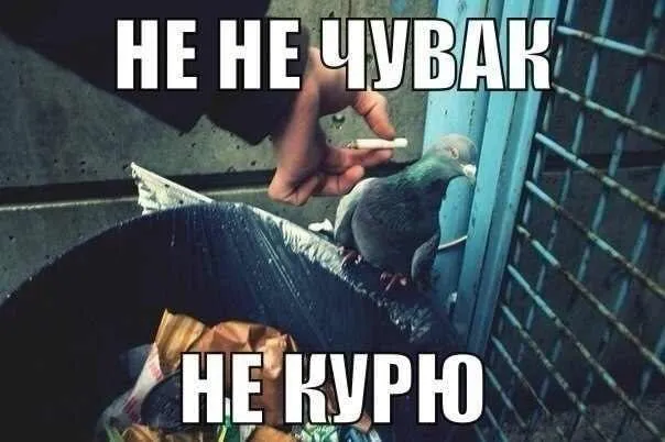 Самым некурящим регионом России стала Чечня Согласно данным Минздраваза февраль 2026 года процент курящих в здесь в возрасте 18 лет и старше составил 0 62 Также в лидерах оказались Запорожская область 4 35 и Краснодарский край 4 63 Кроме того в ТОП 6 самых некурящих регионов вошли  Республики Ингушетия  Дагестан  Санкт Петербург А вы курите да нет бросил Подписаться на truekpru Читать нас в MAX