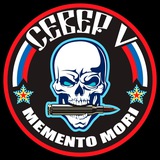 Бригада "Север-V" ДК ВС РФ