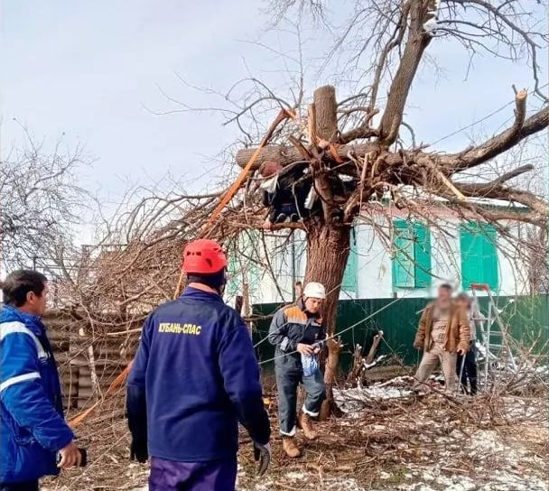 В Мостовском районе мужчину придавило спиленное им же дерево.  Во время спиливания дерева 20-летний мужчина допустил ошибку, и ствол упал на него, повредив ногу и лицо. Спасатели Псебайского аварийно-спасательного отряда наложили жгут на ногу. Используя бензопилу, альпинистское снаряжение и трактор, спасатели аккуратно подняли дерево и освободили молодого человека.Затем его передали врачам скорой помощи для дальнейшего лечения.    Кубань-СПАС