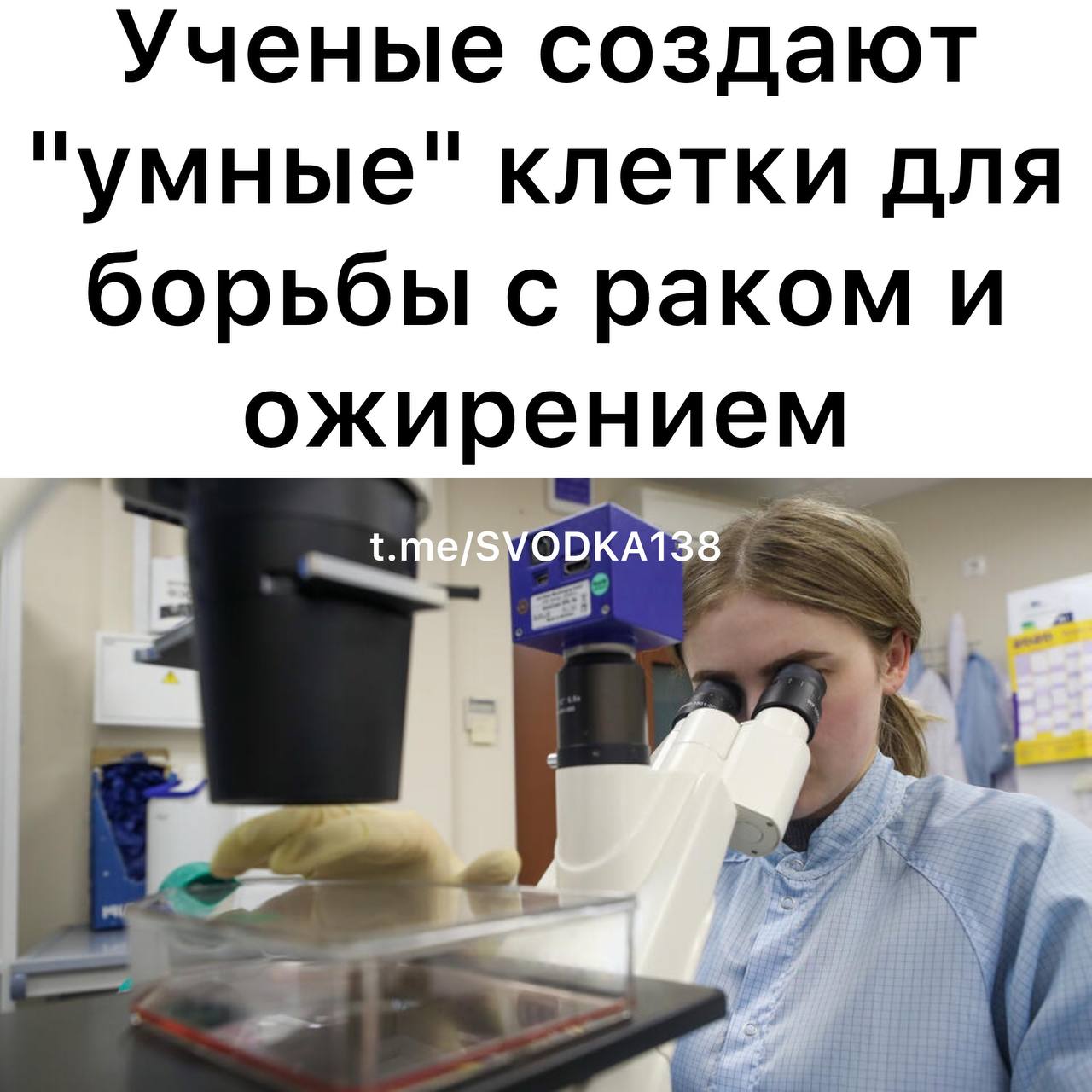 В России ученые разрабатывают новый подход к клеточной терапии Он будет включать в себя два типа умных клеток которые предназначены для борьбы с раком и лечения ожирения О разработке и ее особенностях в своем материале рассказали Известия Исследователи хотят сделать так чтобы участки ДНК не приходилось вырезать как это делают в классической генной терапии Взамен они предлагают заглушать ненужные гены Таким образом молекулы которые несут в себе наследственную информацию будут оставаться нетронутыми Используя определенные генно модифицированные подходы мы можем уменьшить экспрессию определенных молекул на поверхности Т клеток чтобы чужая иммунная система либо узнавала их хуже либо совсем не узнавала отметил заместитель руководителя исследовательской группы Научного центра генетики и наук о жизни Университета Сириус Игорь Деев В дальнейшем ученые планируют получить целую платформу Она должна будет создавать умные клеточные препараты которые станут стандартизированными безопасными и доступными Разработка позволит произвести революцию не только в онкологии но и в лечении метаболических заболеваний таких как сахарный диабет II типа Ранее стало известно что российские ученые разработали ДНК чип способный диагностировать болезни по капле крови Связаться с нами Сообщить о ДТП Розыск очевидцев ДТП Подписаться SVODKA138 Подписаться SVODKA138 Интеграция Telega in MAX канал SVODKA138