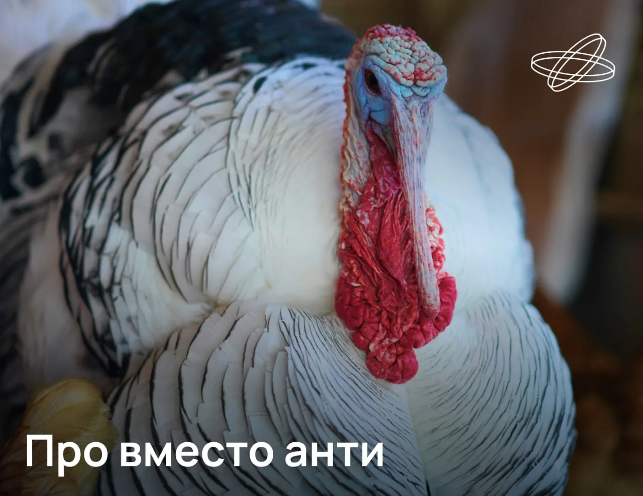 Заменить широко применяемые в птицеводстве антибиотики на более полезные вещества предложили российские учёные Они уже получили жидкую и сухую формы пробиотиков для индеек на основе собственной культуры лактобактерий Создание таких препаратов позволяет нам уйти от использования антибиотиков в птицеводстве сохраняя при этом высокие показатели продуктивности Биологически обоснованные решения укрепляют здоровье птицы на генетическом и метаболическом уровнях обеспечивая население качественным и безопасным продуктом сообщил автор проекта профессор РГАУ МСХА Юрий Лысенко Ещё одна новинка для птицеводов которую готовят в вузе фитобиотический комплекс для кур несушек Он активирует синтез белка улучшает минеральный обмен для повышения прочности скорлупы и стимулирует яйценоскость Подписывайтесь на Наука рф в MAКС Десятилетиенауки